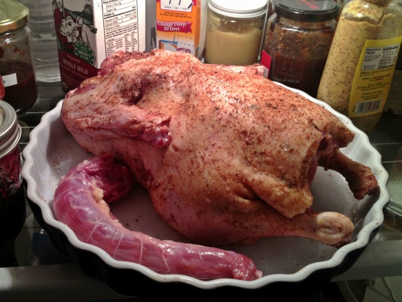 Rubbed Duck