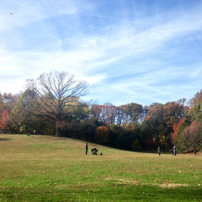Fall Day in Prospect Park
