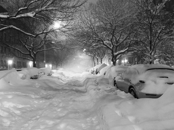 Snowy Crown Heights.JPG