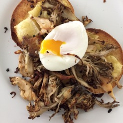 Mushrooms Cheese Poached Egg